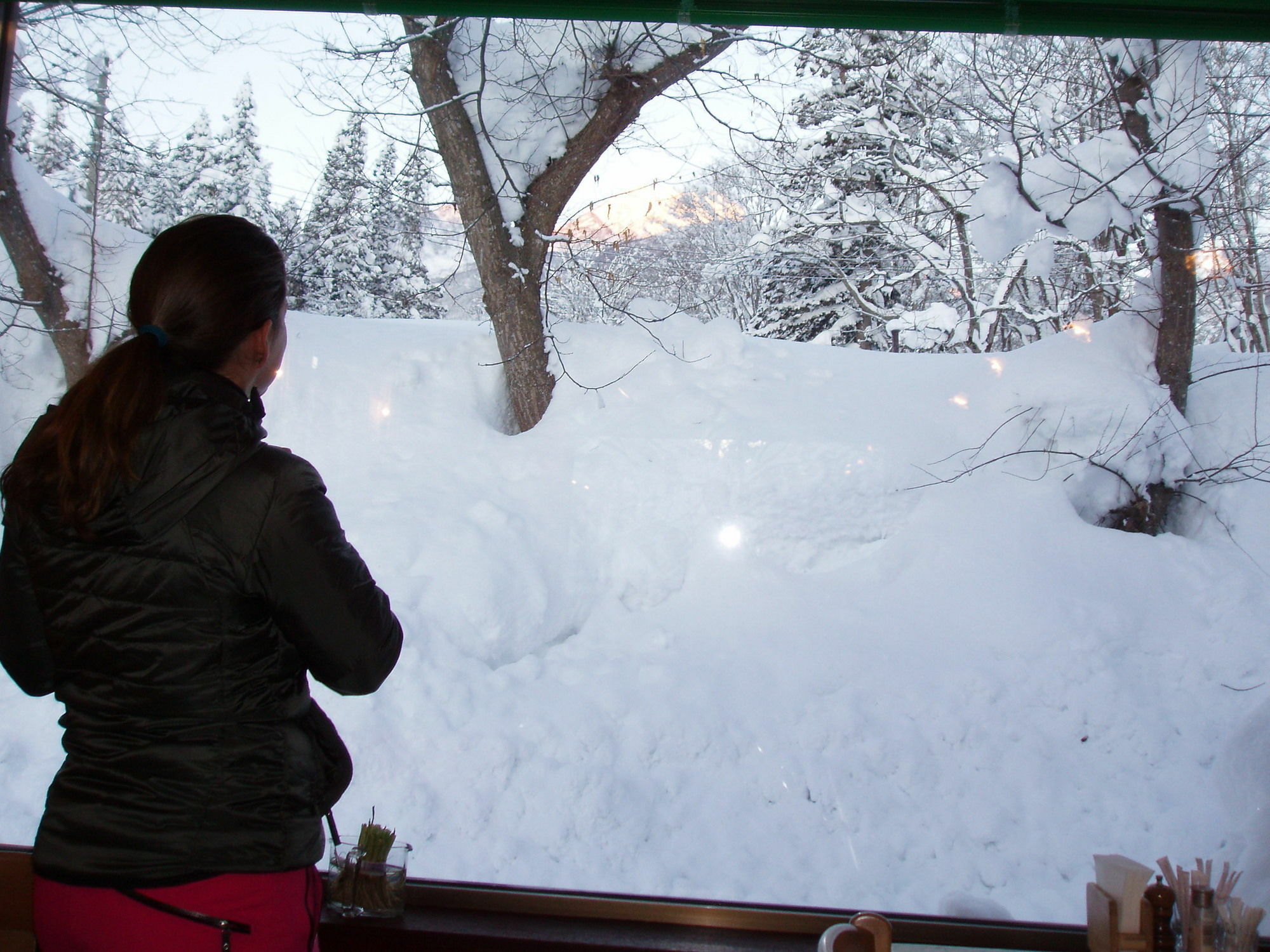 Country Inn Canadian House Myoko Exterior photo