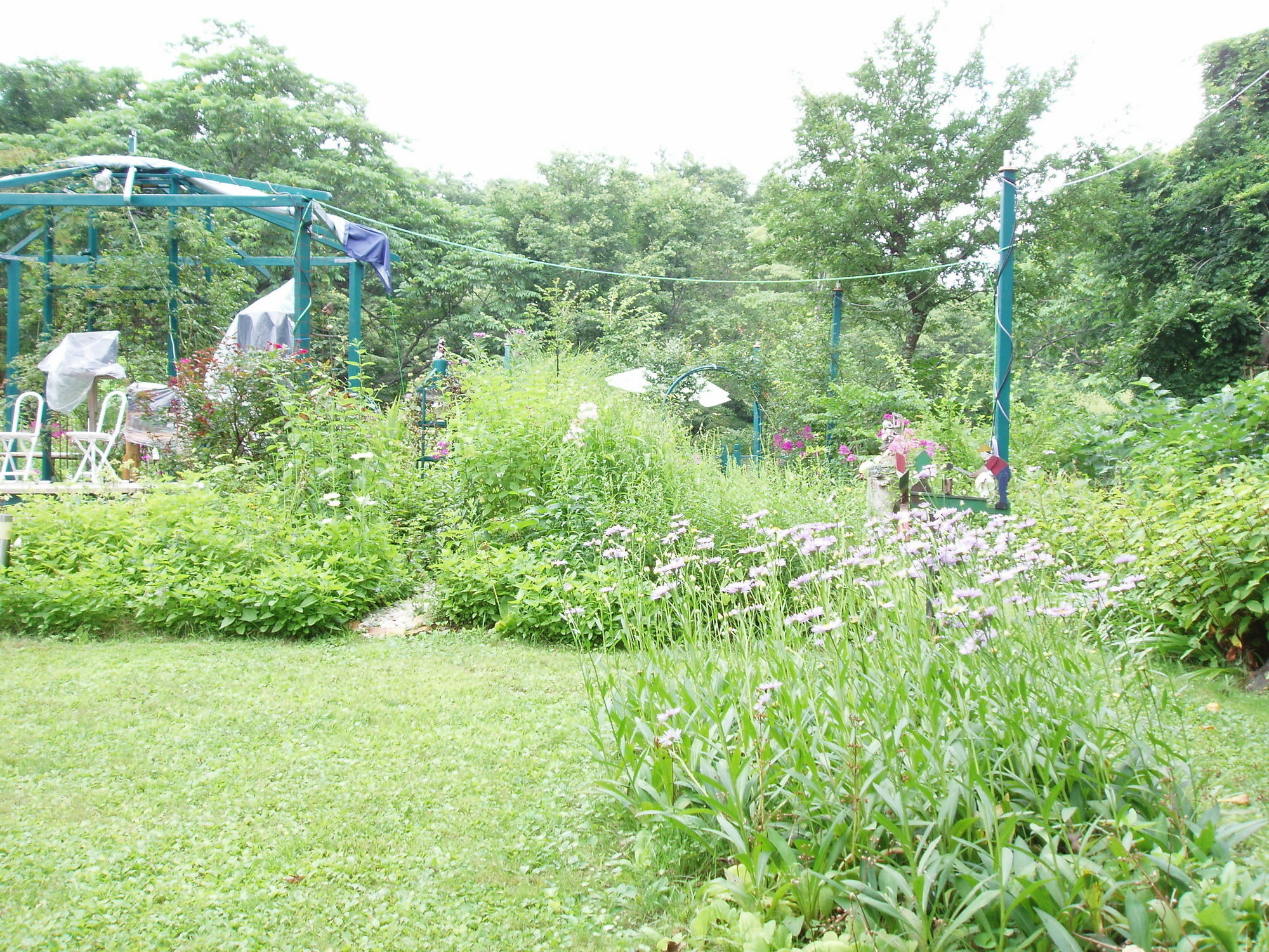 Country Inn Canadian House Myoko Exterior photo